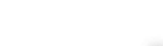 鶏肉を炙った名物「上親子丼」